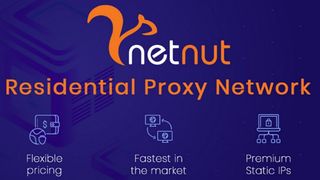 Website screenshot for NetNut 