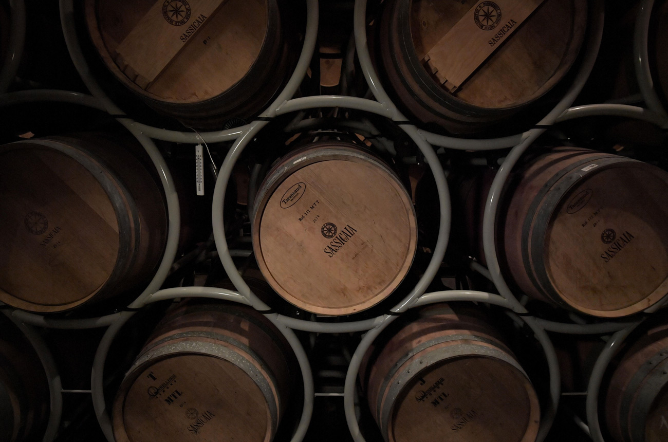 Sassicaia 2018 Vintage