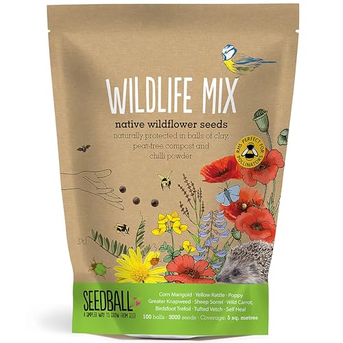 Seedball Wildlife Mix Seed Bombs &amp;ndash; 100 Seed Balls Per Pack | Bee Friendly British Wild Flower Seed Mix | Beautiful Coloured Garden Flower Seed Bombs for Bees, Birds &amp;amp; Other Garden Wildlife
