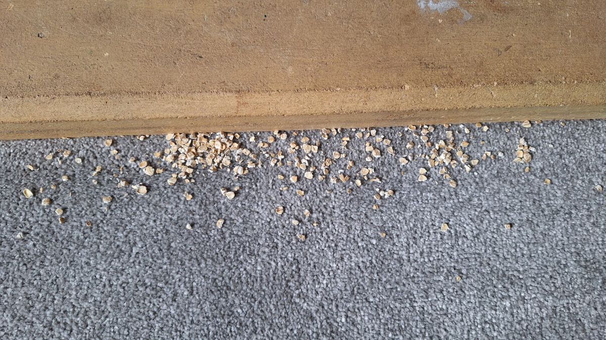 Oats along the side of a fireplace