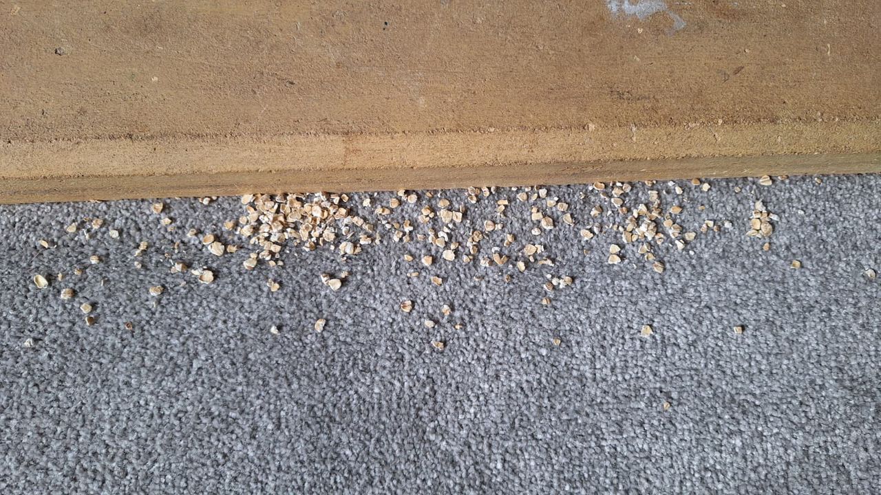 Oats along the side of a fireplace