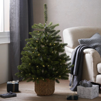 Pre-Lit Christmas 3.5ft Tree,  £185, The White Company