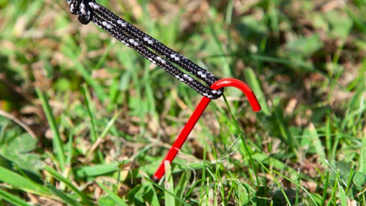 The best tent pegs 2024 tested by experts Advnture