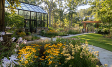 Yellow black-eyed susan and other fall flowers with black conservatory to the rear
