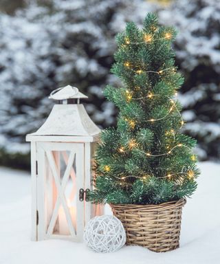 Miniature potted Christmas tree with lantern