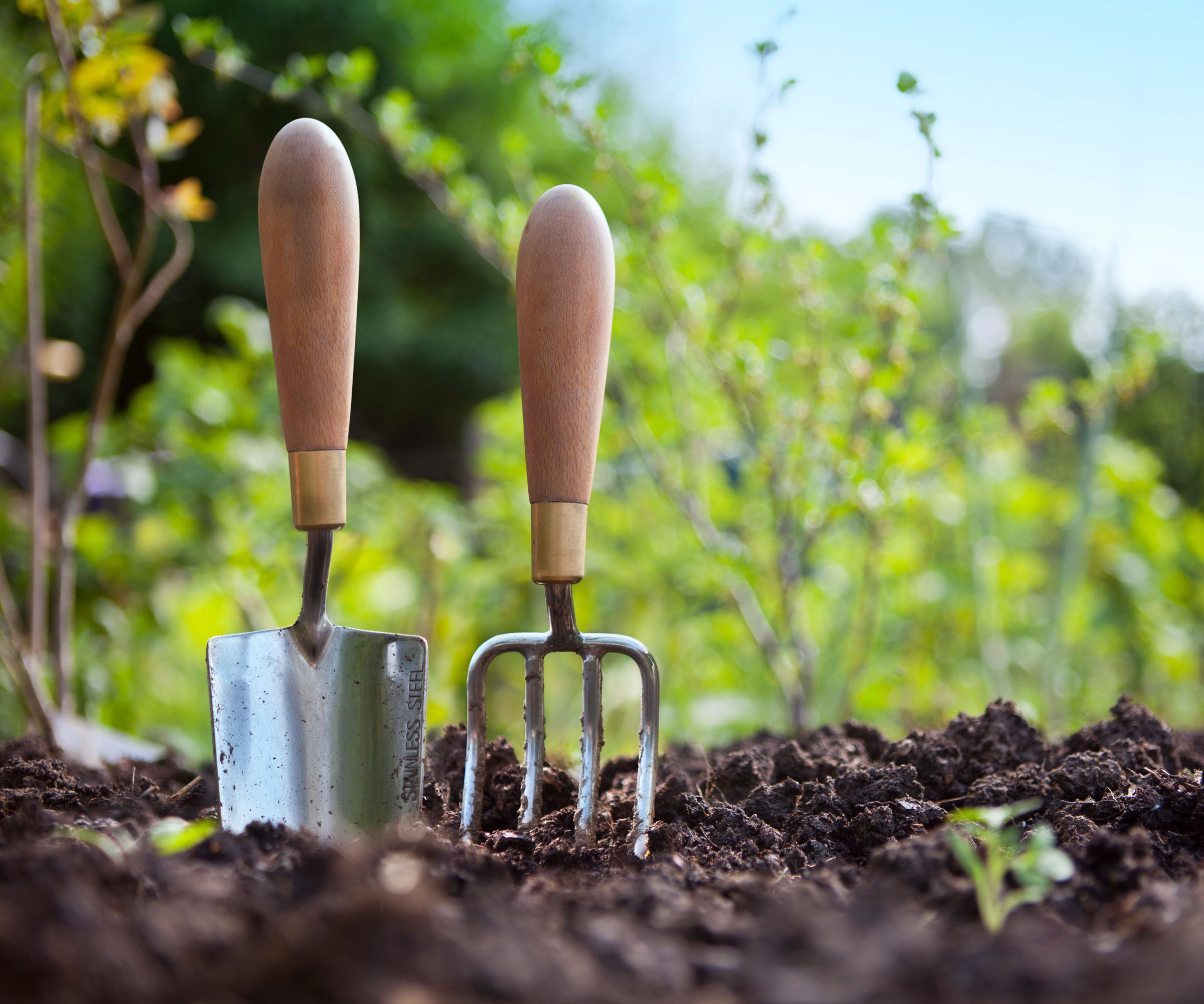 garden trowel and garden fork in soil