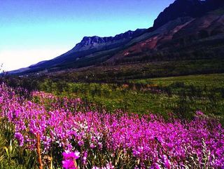 Ride scenery in Stellensboch, South Africa.