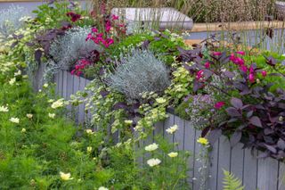 the ability garden at hampton court garden festival 2021