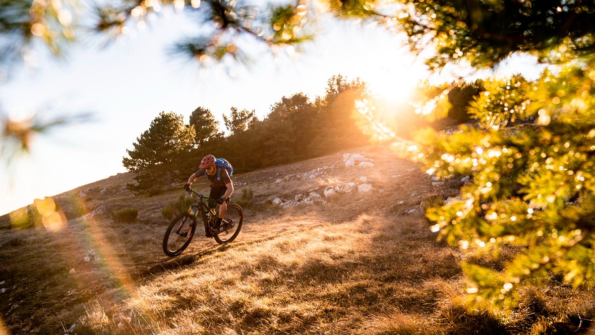 9 Wool Mountain Bike Jerseys, Tested for Spring and Summer Riding -  Singletracks Mountain Bike News
