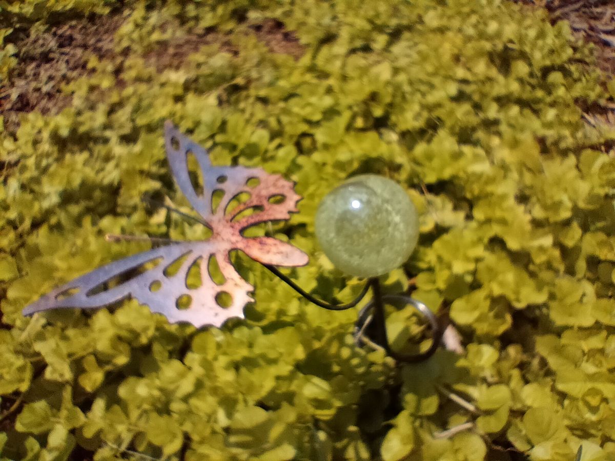OnePlus Nord N200 5G camera samples