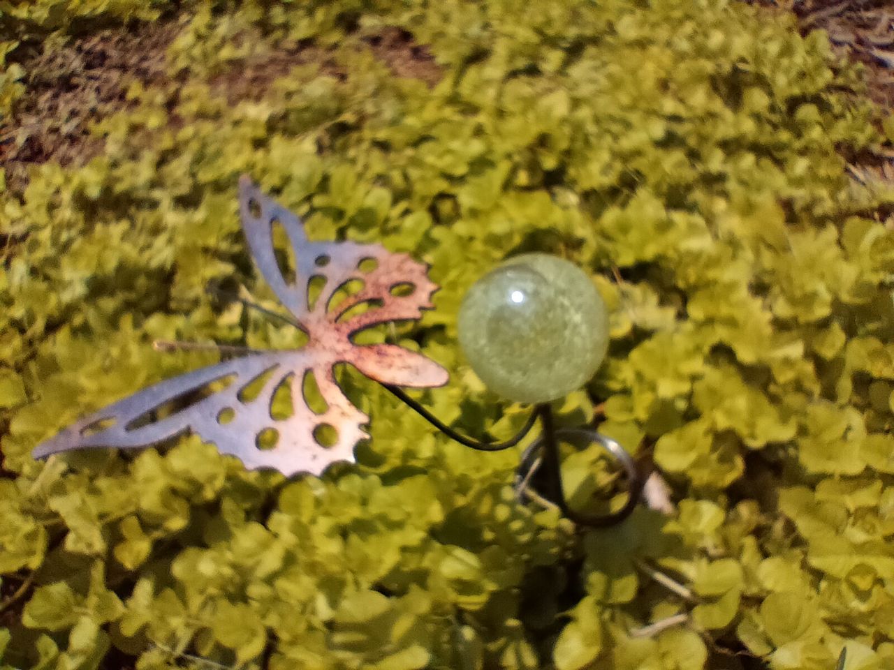 OnePlus Nord N200 5G camera samples