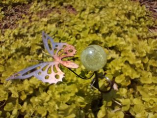 OnePlus Nord N200 5G camera samples