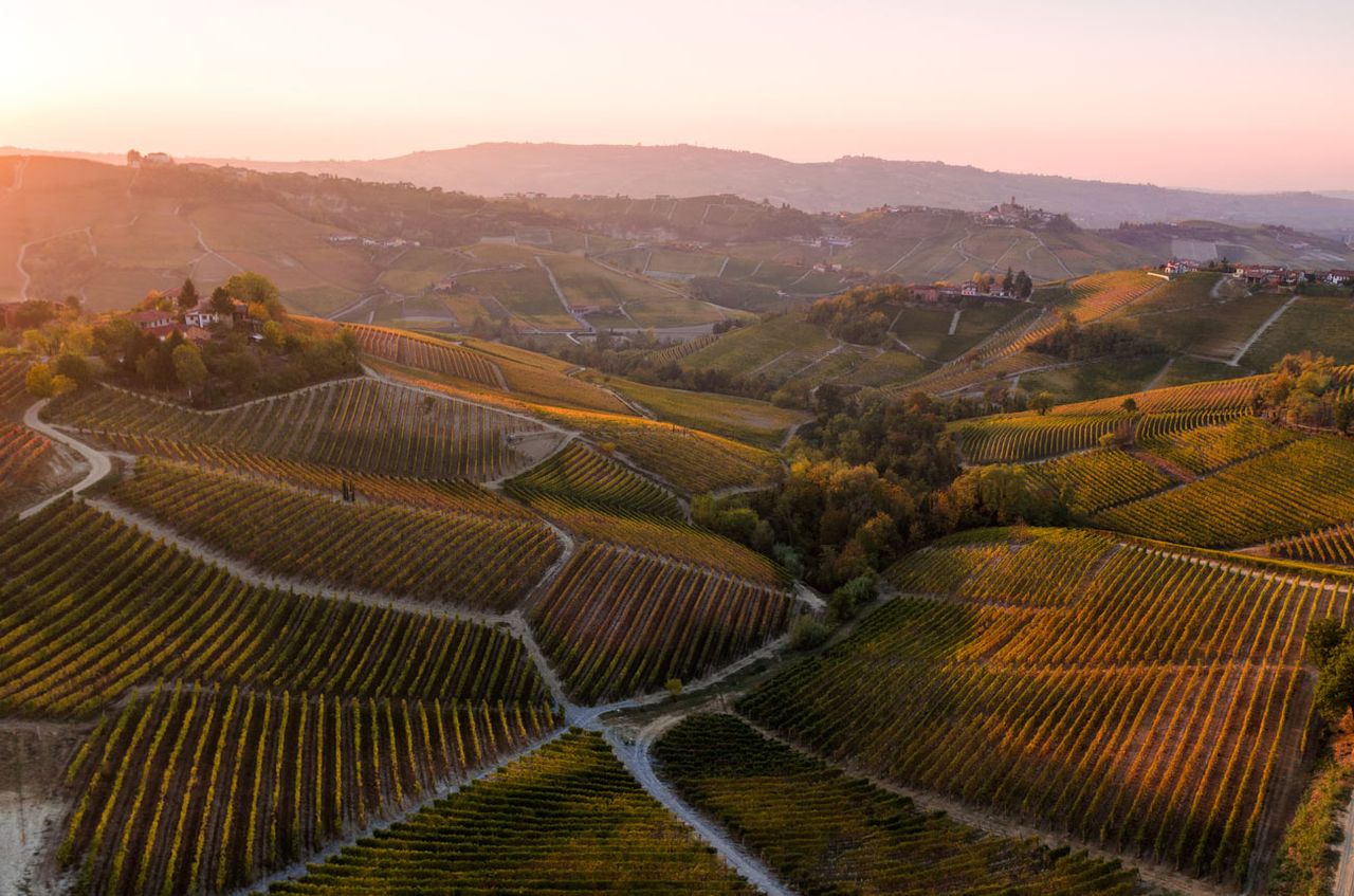 Barolo wine region