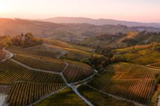 Barolo wine region