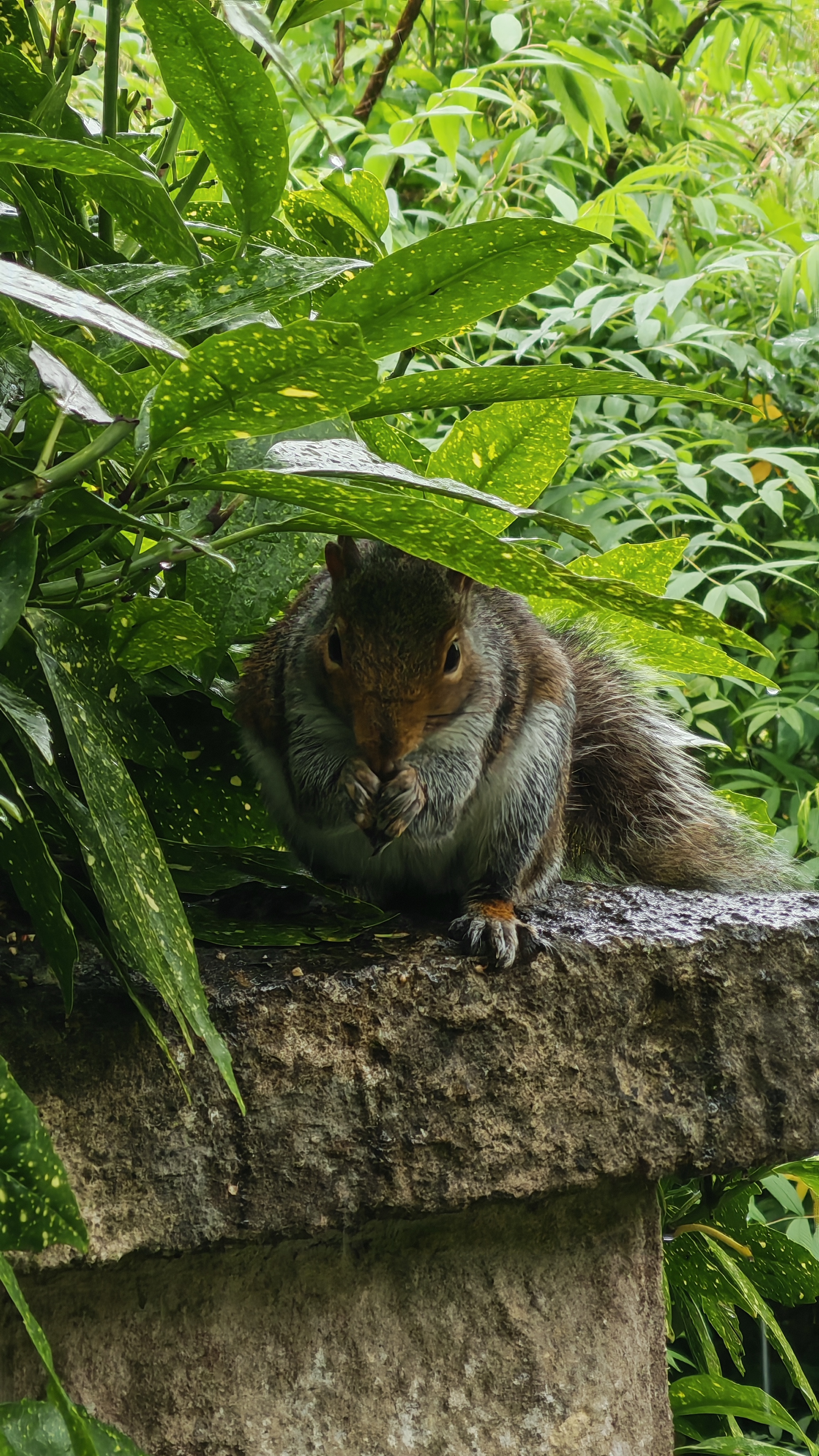 The Honor 400 Pro sample images