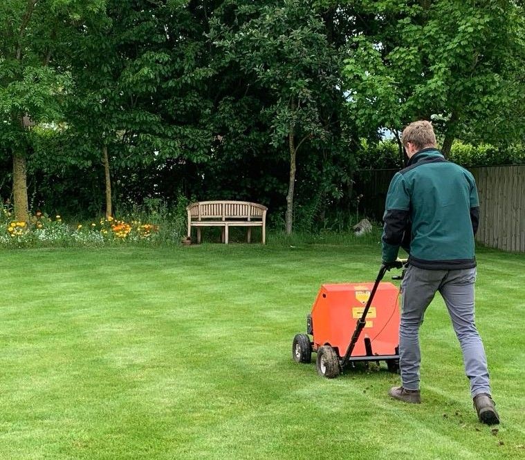 How to scarify a lawn Stepbystep guide Homebuilding