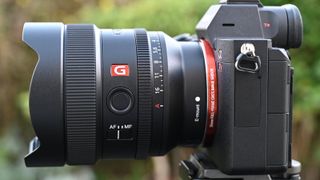 Sony FE 14mm F1.8 G Master on a Sony A7 camera outside