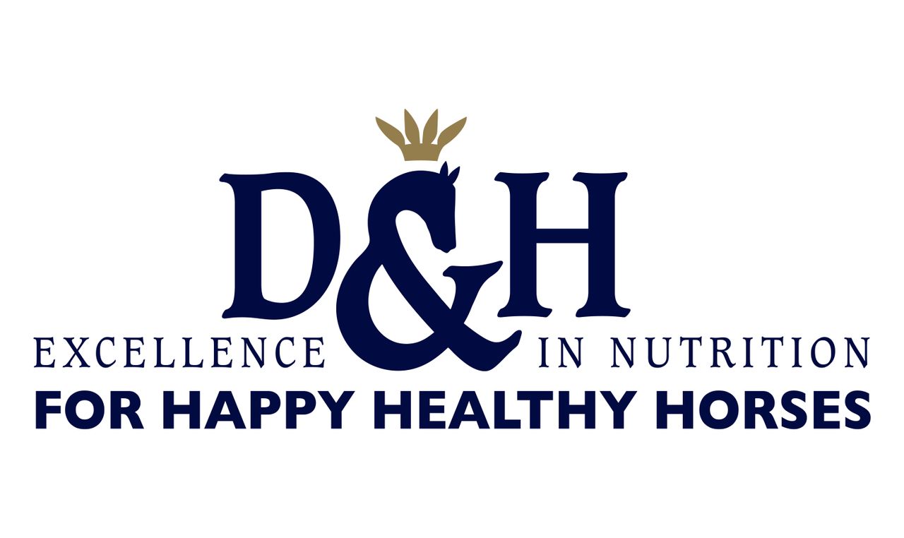 The D&amp;H logo