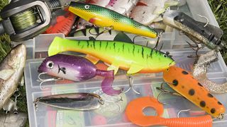 How to catch pike in spring - different colourful lures