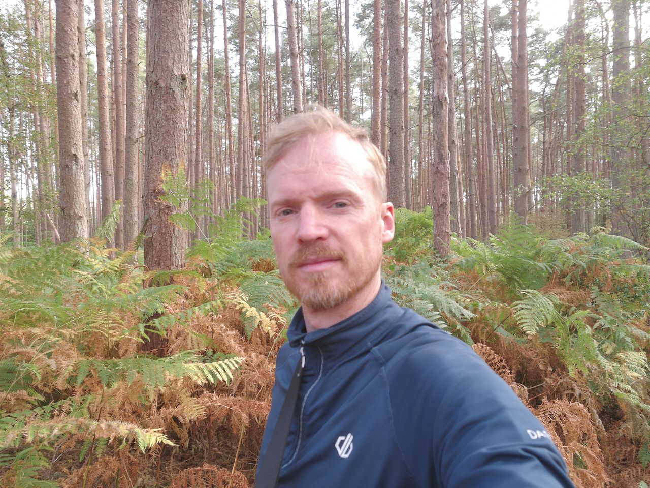 Man in UK woodland