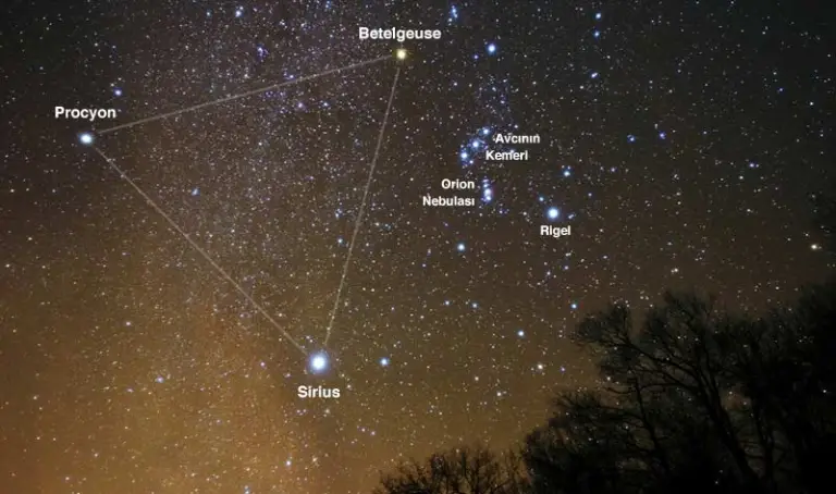 An illustration of the night sky showing the stars that make up the winter triangle asterism.