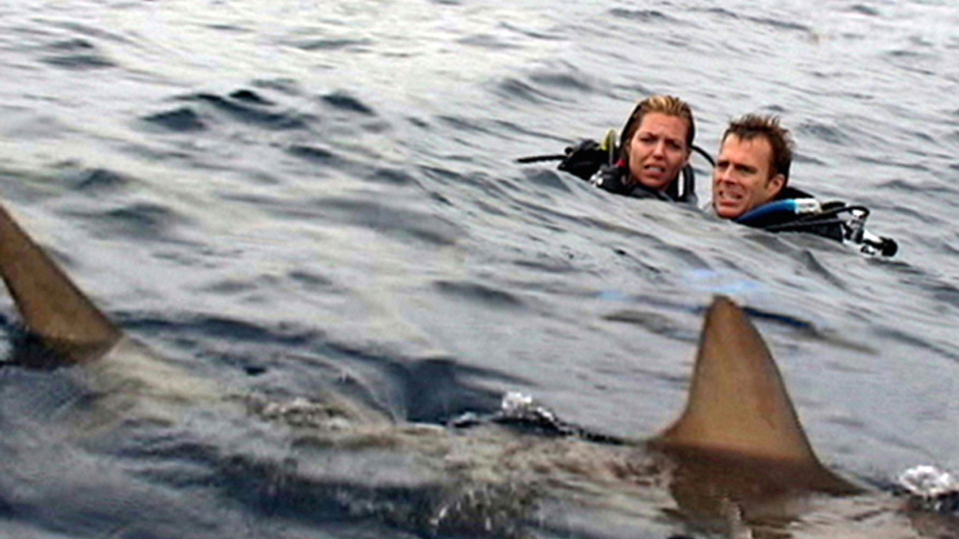 Blanchard Ryan and Daniel Travis in Open Water trailer