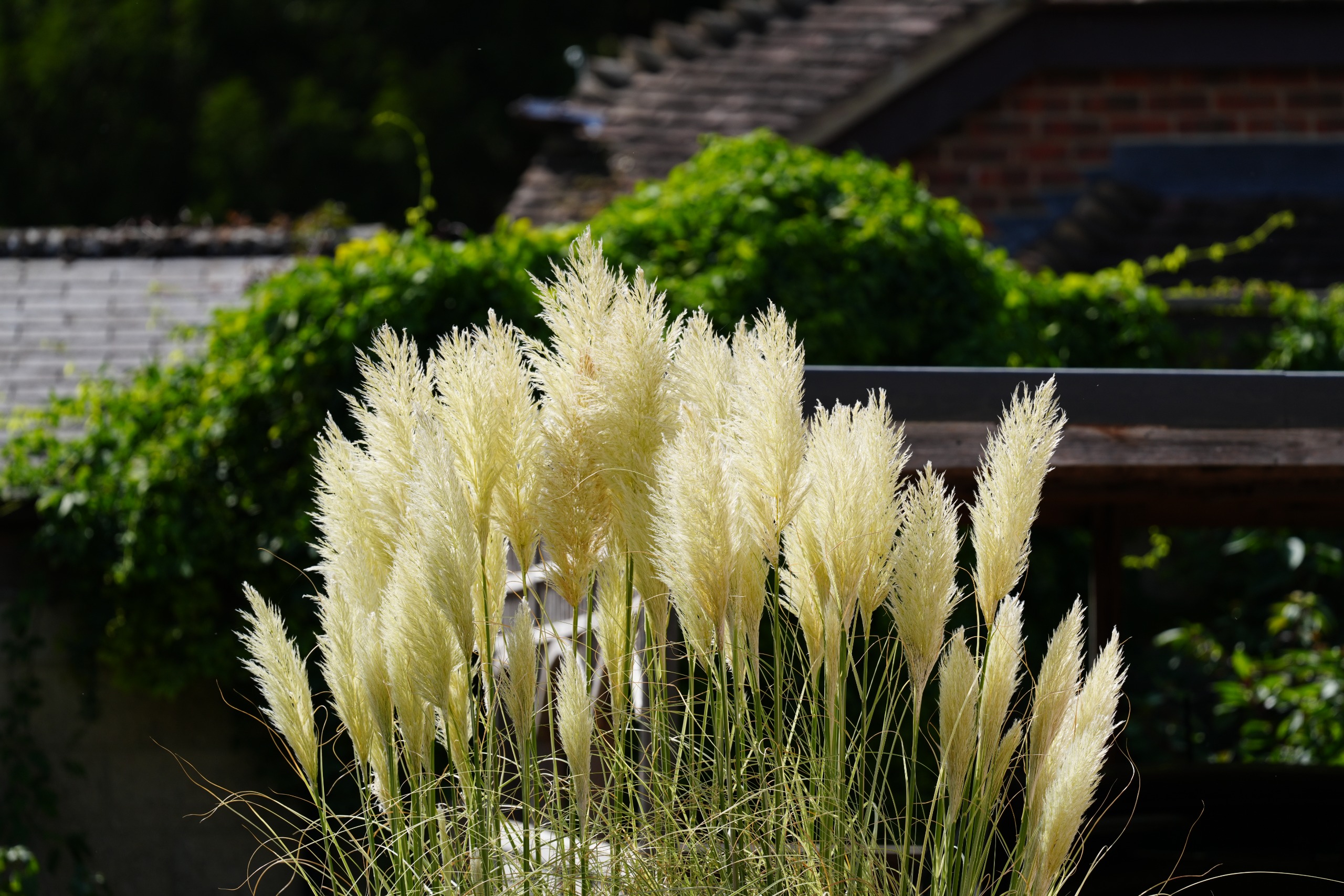 Sony FE 400mm f/4.5 GM OSS sample image