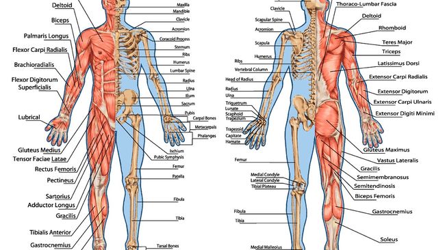 I just tried the SLBR exercise for the first time — here's what ...