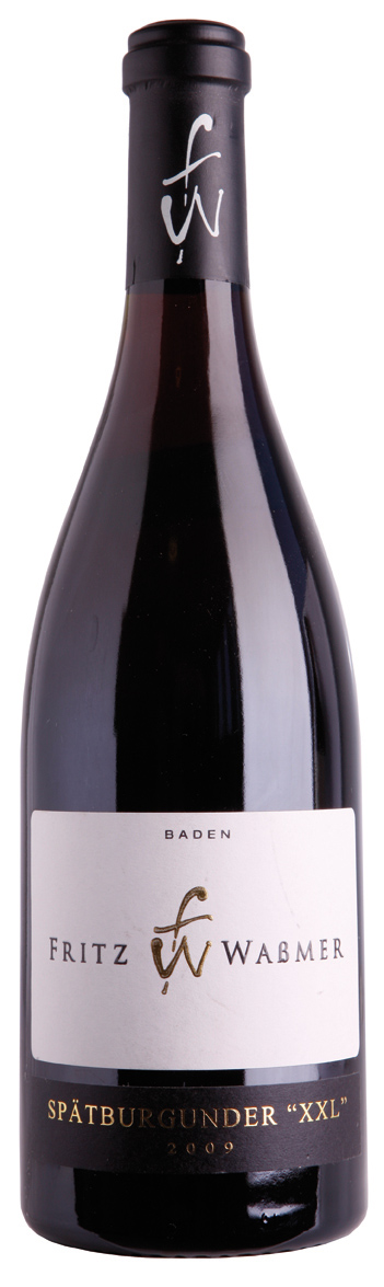 Pinot Noir over &pound;10 International Trophy Catergory