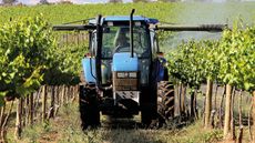 Tractor in a vineyard