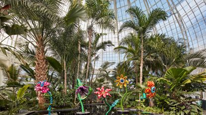 US Botanic Gardens, New York Botanical Garden exhibition with Yayoi Kusama