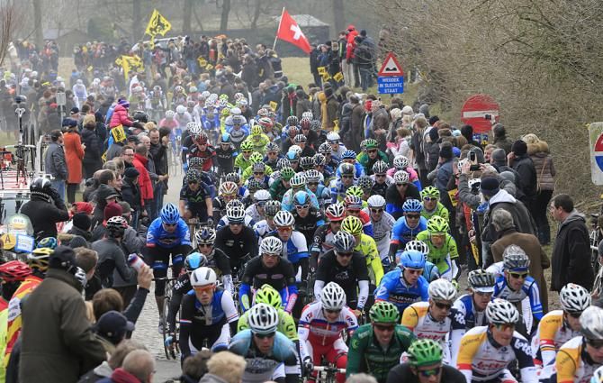 The bunch early in the race.