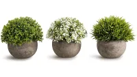 9. Opps Artificial Mini Plants 3-Pack: View at Amazon