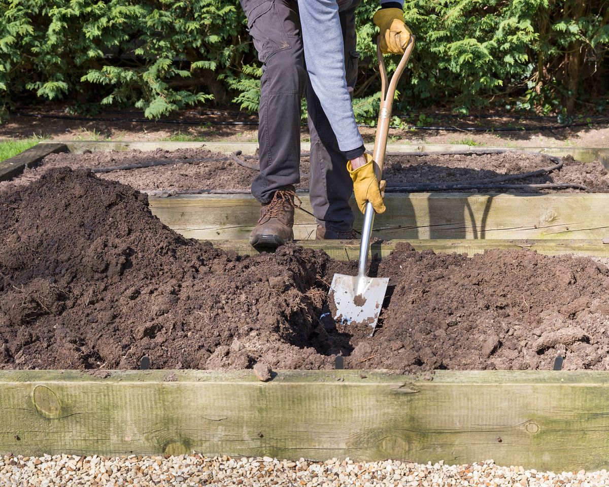 Soil Depth For Raised Beds Learn How Deep To Fill A Raised Bed