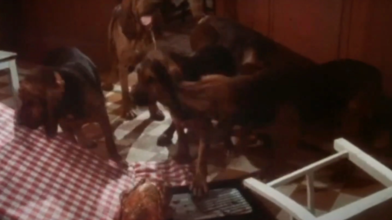 The Bumpus Hounds from A Christmas Story