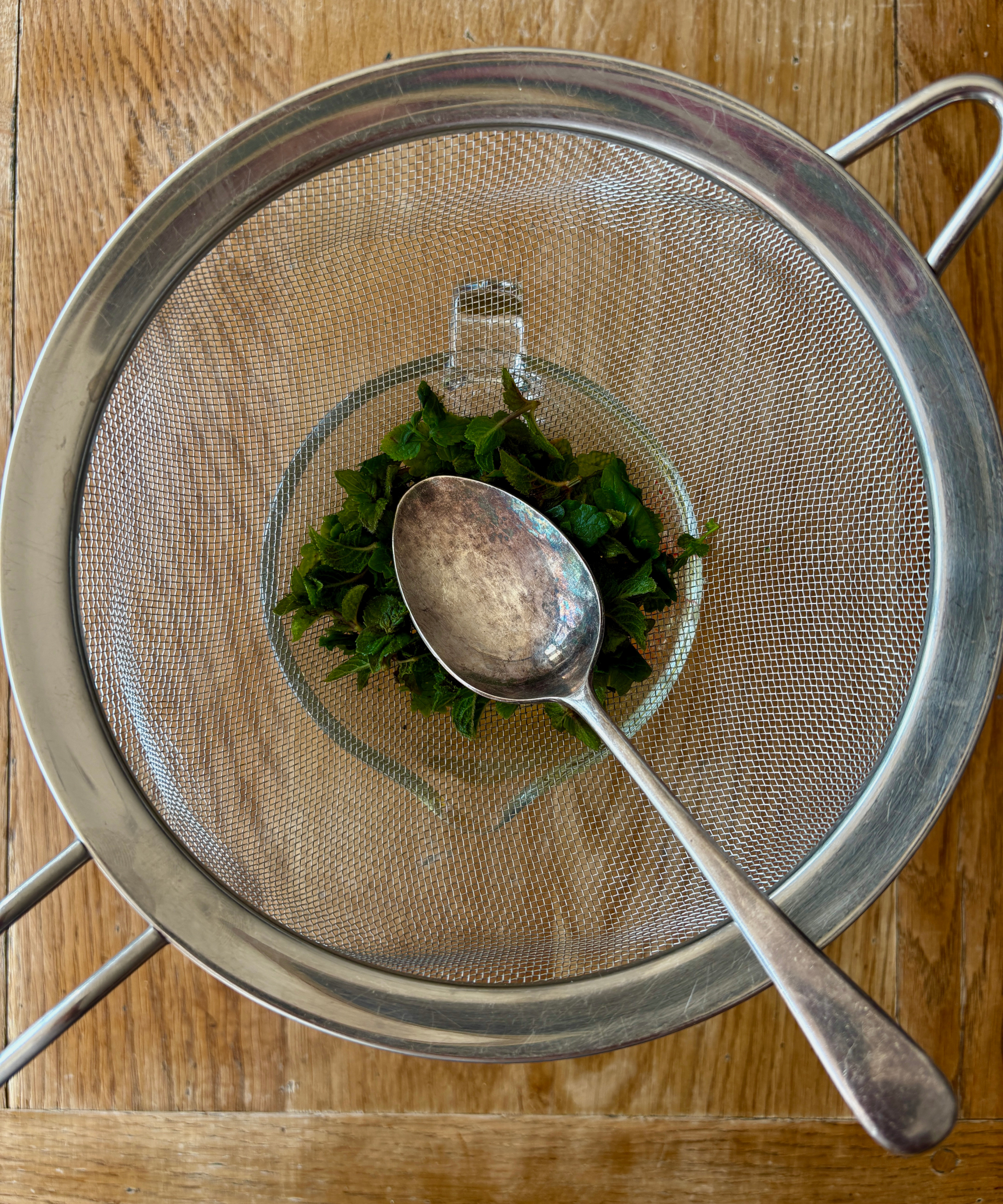 Steeped liquid made with catnip leaves being used to create a natural mosquito repellent