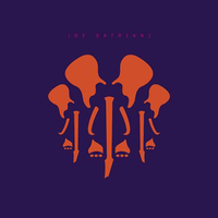 Joe Satriani: The Elephants Of Mars