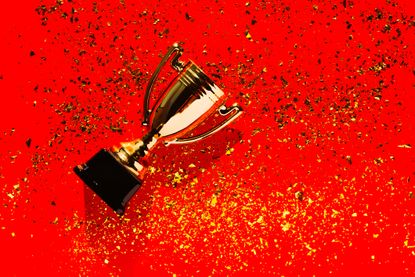 Premium Bonds concept