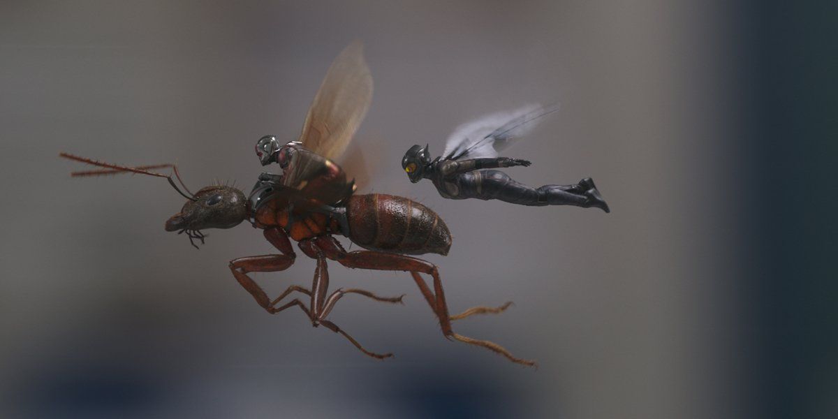 Ant-Man and The Wasp fly in Ant-Man And The Wasp