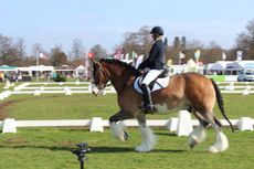 Hovis&rsquo; Friday diary