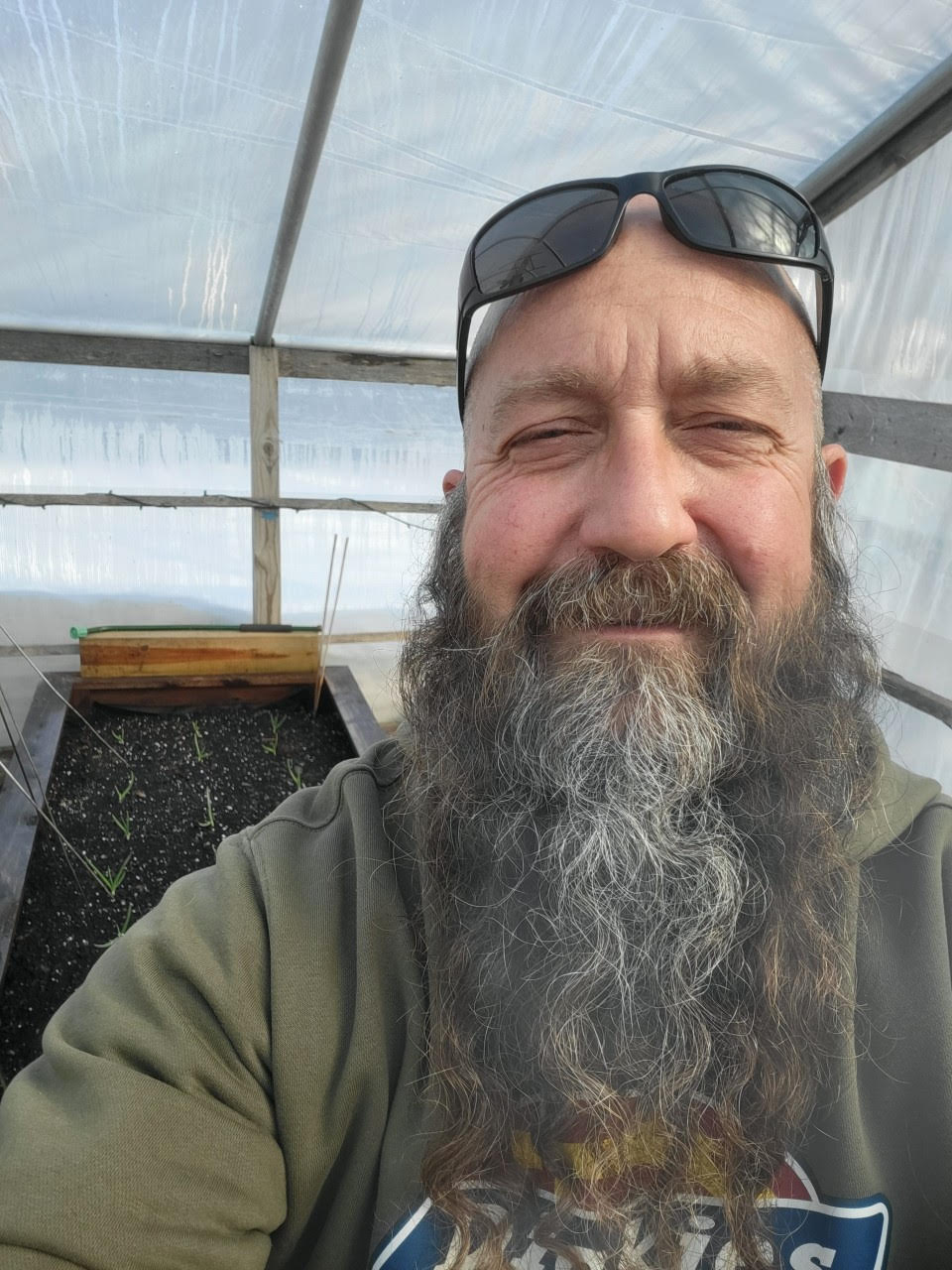 Headshot of man with beard and sunglasses on his head