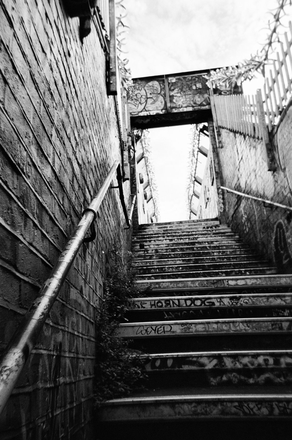 Sample photograph taken with Fujifilm QuickSnap Black and White
