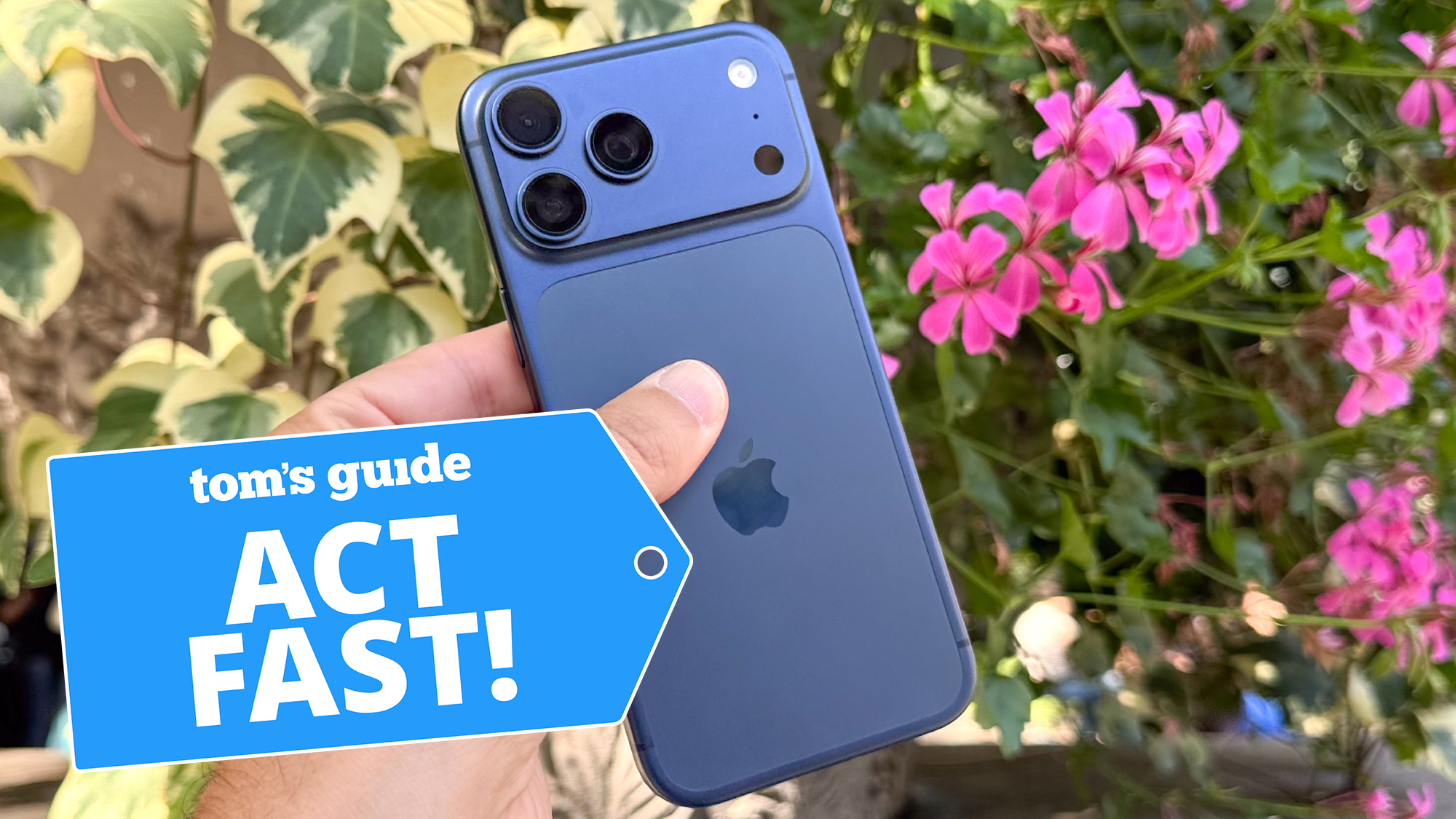 iPhone 17 Pro Max shown in front of flowers