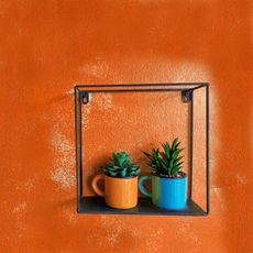 Two succulents planted in mugs against a bright orange wall