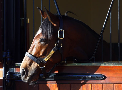 Picture courtesy of Racing Fotos