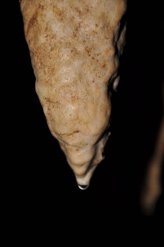 A stalagmite in Yok Balum cave, Belize