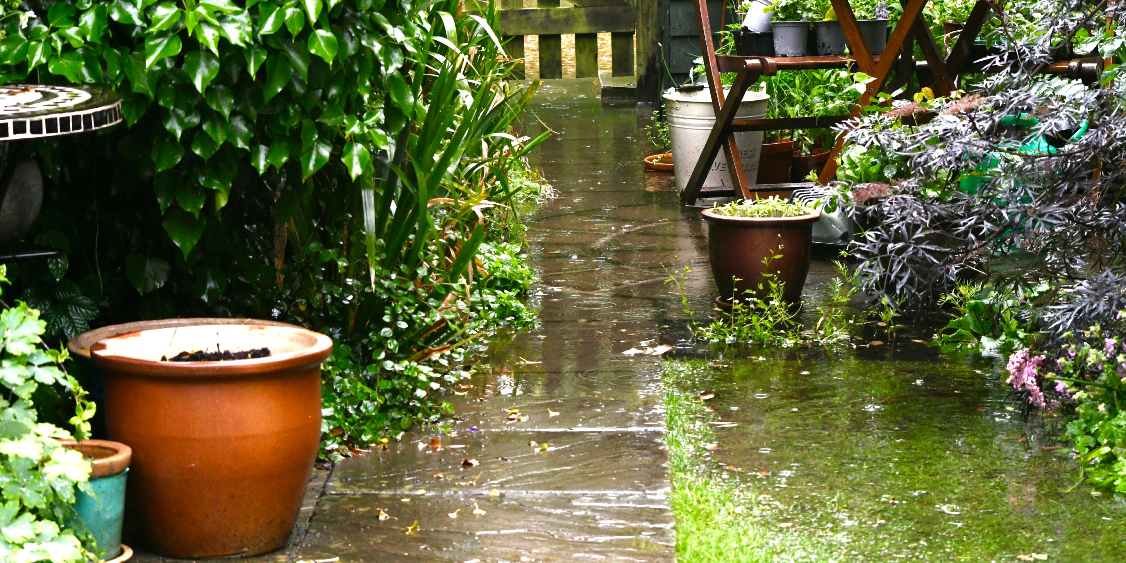 Rainy and waterlogged garden with slabbed pathway, plant pots and established plants