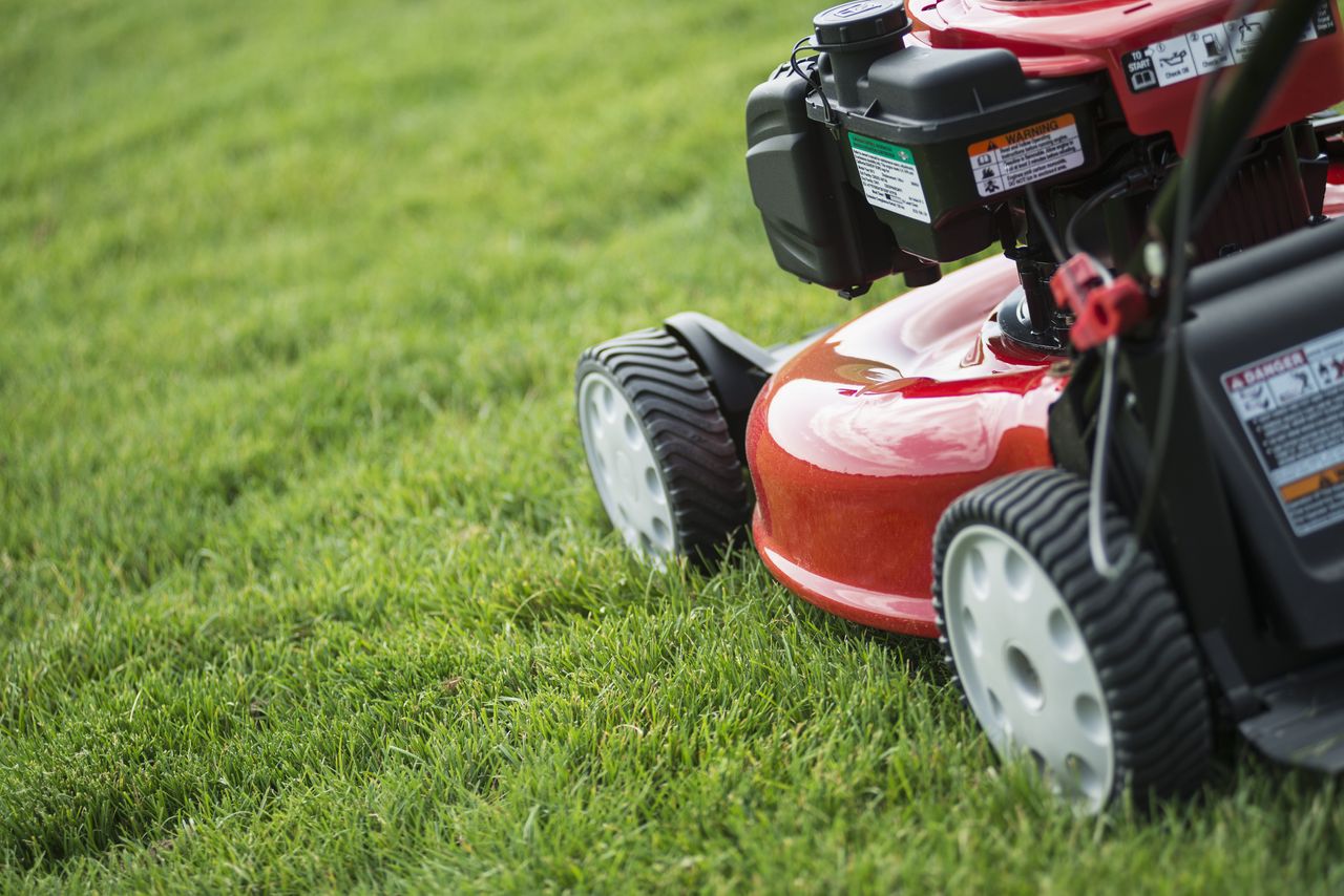 Red push lawnmower on grass