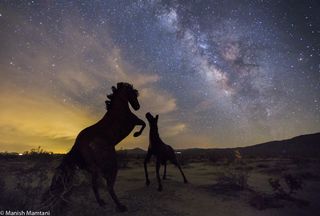 Milky Way and Horse Sculptures