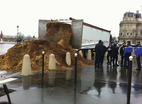 manure-1.jpg